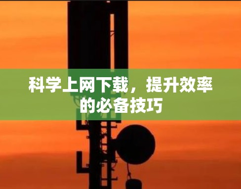 科学上网下载，提升效率的必备技巧