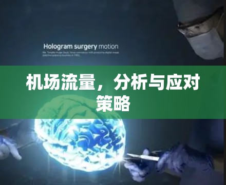 机场流量,分析与应对策略 机场流量,分析与应对策略
