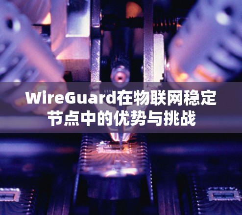 WireGuard在物联网稳定节点中的优势与挑战 WireGuard在物联网稳定节点中的优势与挑战