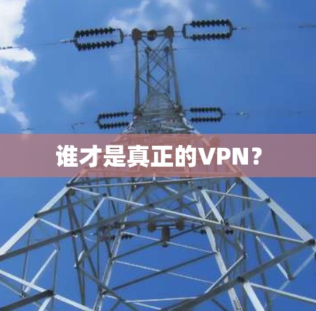 谁才是真正的VPN? 谁才是真正的VPN?