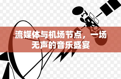 流媒体与机场节点，一场无声的音乐盛宴