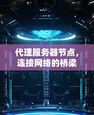 代理服务器节点，连接网络的桥梁