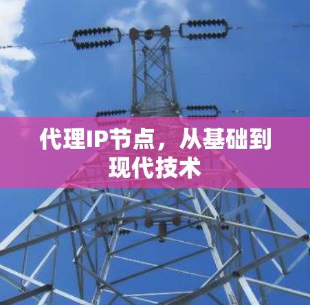 代理IP节点,从基础到现代技术 代理IP节点,从基础到现代技术