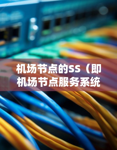 机场节点的SS（即机场节点服务系统）是指机场某个区域或设施中的服务系统。以下是对该概念的详细说明