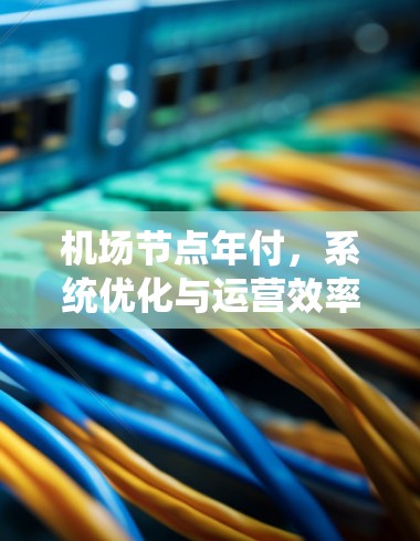 机场节点年付,系统优化与运营效率分析 机场节点年付,系统优化与运营效率分析