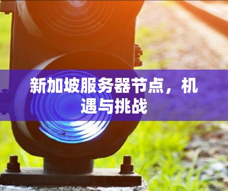 新加坡服务器节点，机遇与挑战
