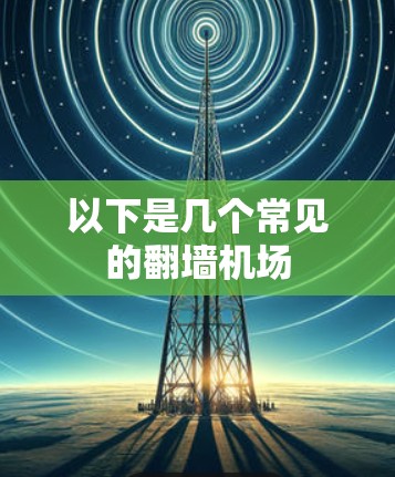 以下是几个常见的翻墙机场