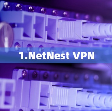 1.NetNest VPN 1.NetNest VPN