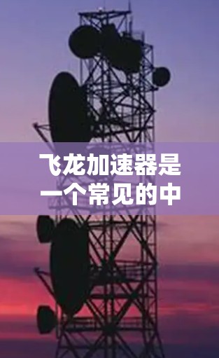 飞龙加速器是一个常见的中文词汇，通常指的是某种加速技术、设备或产品，具体含义可能因上下文而异。以下是一些可能的解释