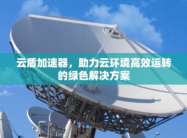 云盾加速器，助力云环境高效运转的绿色解决方案