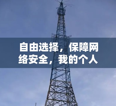 自由选择,保障网络安全,我的个人VPN体验 自由选择,保障网络安全,我的个人VPN体验