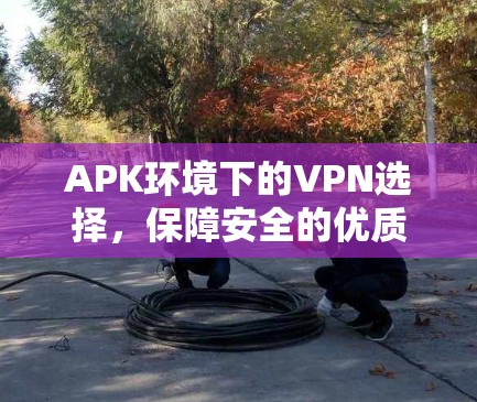 APK环境下的VPN选择,保障安全的优质选择 APK环境下的VPN选择,保障安全的优质选择