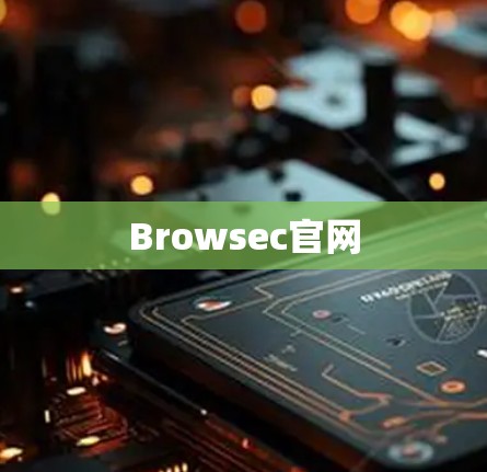 Browsec官网