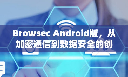 Browsec Android版,从加密通信到数据安全的创新解决方案 Browsec Android版,从加密通信到数据安全的创新解决方案