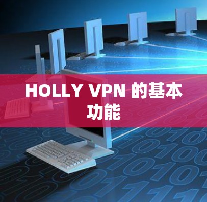HOLLY VPN 的基本功能 HOLLY VPN 的基本功能