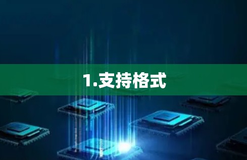 1.支持格式