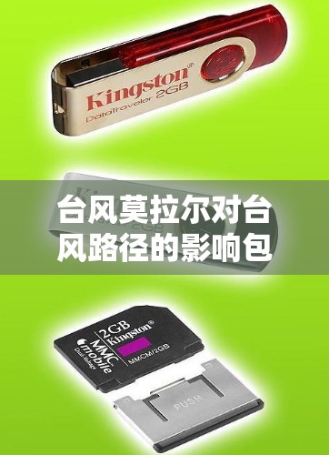台风莫拉尔对台风路径的影响包括路径预测的准确性、中心位置的变化、风速变化、影响范围的变化以及台风强度的变化。以下是详细的分析