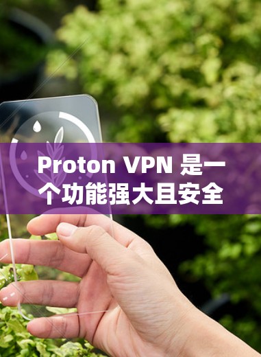Proton VPN 是一个功能强大且安全的VPN服务，适合需要高效加密连接的用户。以下是推荐的详细信息