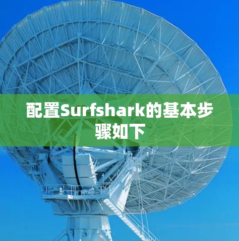配置Surfshark的基本步骤如下 配置Surfshark的基本步骤如下
