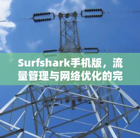 Surfshark手机版，流量管理与网络优化的完美结合