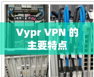 Vypr VPN 的主要特点