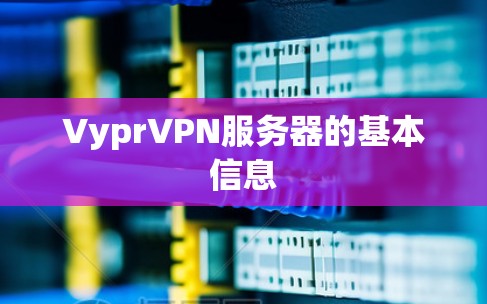 VyprVPN服务器的基本信息