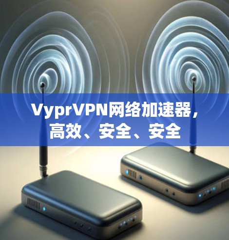 VyprVPN网络加速器，高效、安全、安全