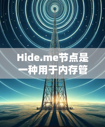 Hide.me节点是一种用于内存管理的控制流节点，主要用来隐藏内存泄漏的情况，从而优化代码和减少内存泄漏的风险。以下是对Hide.me节点的详细解释和使用指南