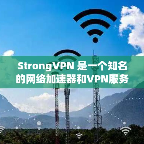 StrongVPN 是一个知名的网络加速器和VPN服务提供商，以其强大的加密技术和多链路功能受到用户青睐。如果您正在寻找一个可靠且安全的网络加速器，可以尝试以下几种