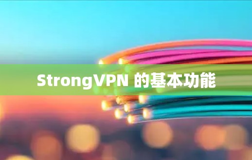 StrongVPN 的基本功能
