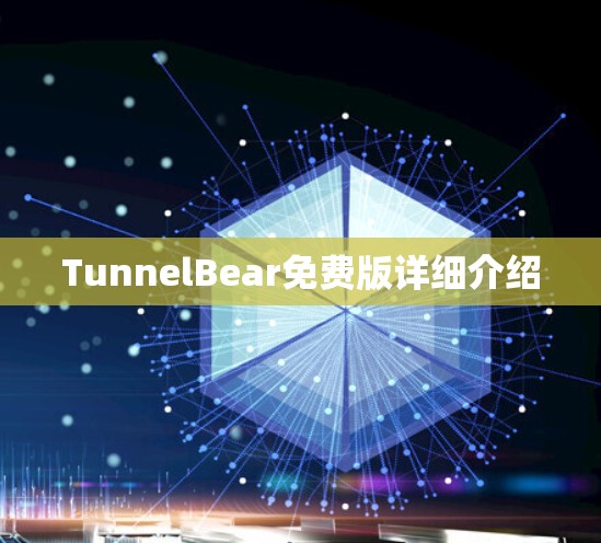 TunnelBear免费版详细介绍