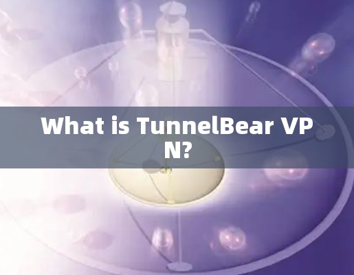 What is TunnelBear VPN?