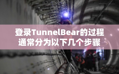 登录TunnelBear的过程通常分为以下几个步骤