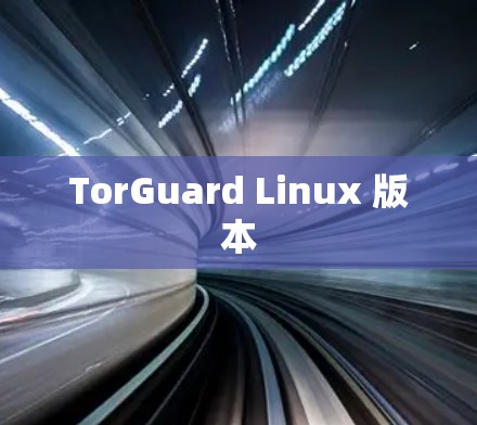 TorGuard Linux 版本