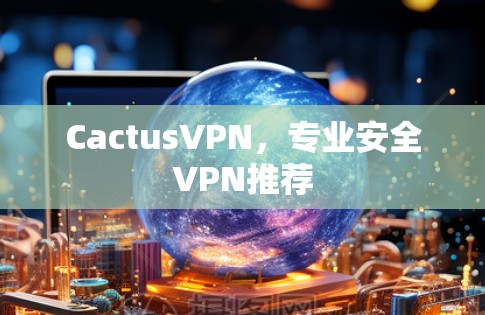 CactusVPN，专业安全VPN推荐