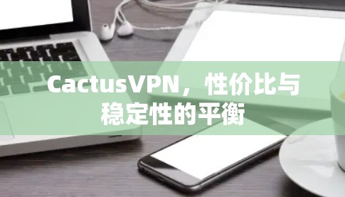 CactusVPN，性价比与稳定性的平衡