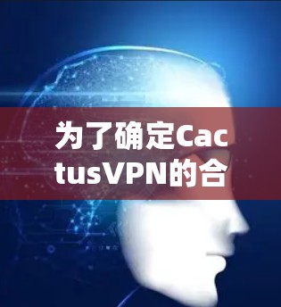 为了确定CactusVPN的合法性和安全性，建议以下步骤