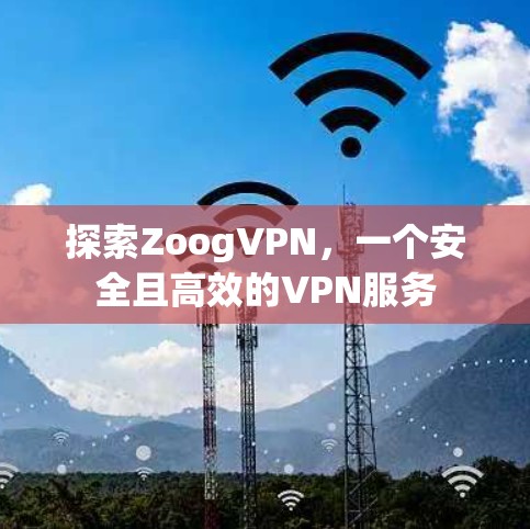 探索ZoogVPN，一个安全且高效的VPN服务