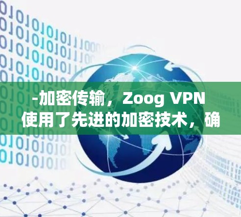 -加密传输，Zoog VPN 使用了先进的加密技术，确保数据在传输过程中的安全性