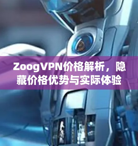 ZoogVPN价格解析，隐藏价格优势与实际体验对比