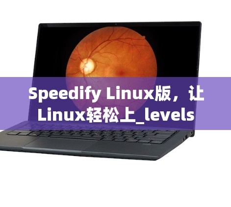Speedify Linux版，让Linux轻松上_levels