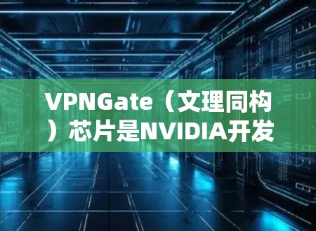 VPNGate（文理同构）芯片是NVIDIA开发的一款用于显存管理的芯片，主要用于显存读写和保护机制。它由多个块组成，包括读写块和保护块，以防止数据被修改和丢失