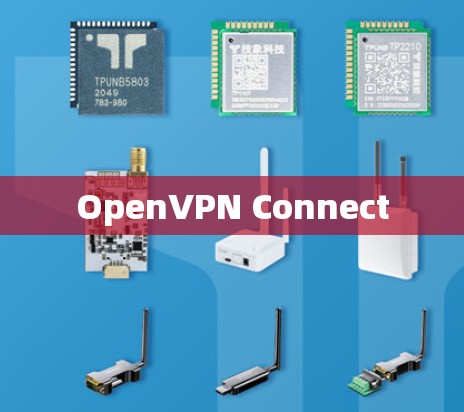 OpenVPN Connect