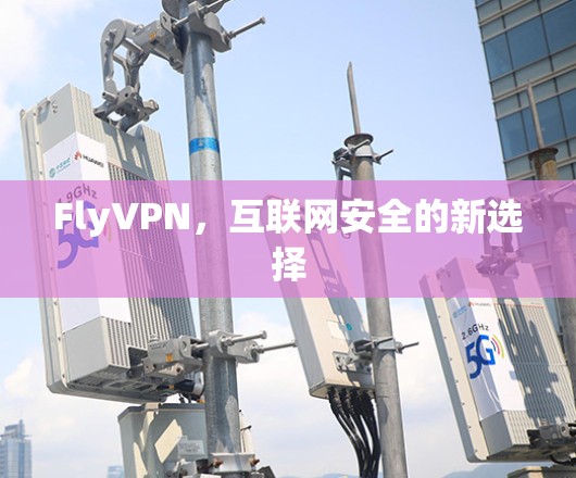 FlyVPN，互联网安全的新选择