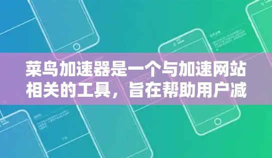 菜鸟加速器是一个与加速网站相关的工具，旨在帮助用户减少网站加载时间。以下是关于该工具的详细信息