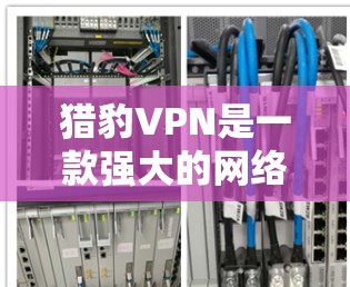 猎豹VPN是一款强大的网络VPN产品，以其强大的功能和灵活的设置而闻名。以下是对猎豹VPN的详细介绍