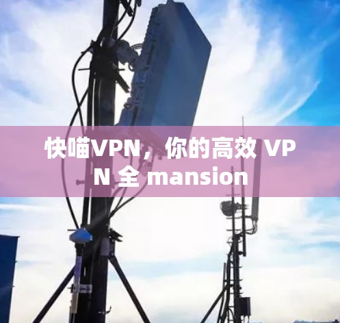 快喵VPN，你的高效 VPN 全 mansion