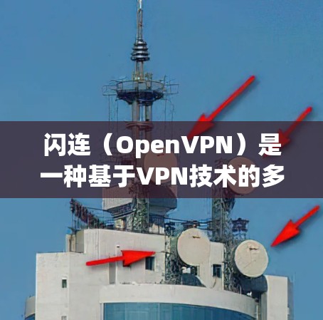 闪连（OpenVPN）是一种基于VPN技术的多点网络服务，允许用户同时连接多个VPN服务器。它通过使用多个VPN服务器，提供更可靠和灵活的网络连接。以下是关于闪连VPN服务器的一些关键信息