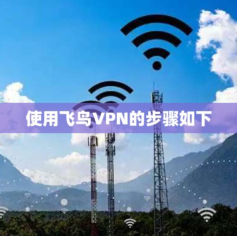 使用飞鸟VPN的步骤如下