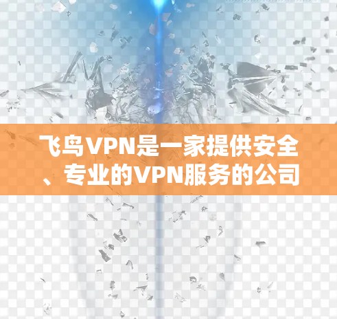 飞鸟VPN是一家提供安全、专业的VPN服务的公司，专注于为用户打造可靠、安全的VPN体验。以下是关于飞鸟VPN的详细信息